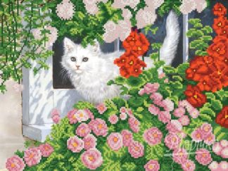 Кошка на окошке Кошка на окошке