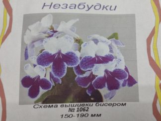 Незабудки Незабудки
