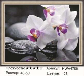 Алмазная мозаика на подрамнике 40*50 HWA4786