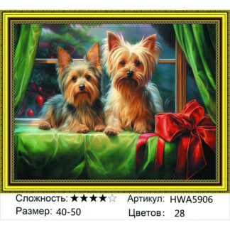Алмазная мозаика на подрамнике 40*50  HWA 5906