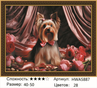 Алмазная мозаика на подрамнике 40*50  HWA5887