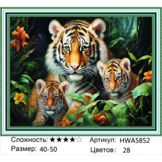 Алмазная мозаика на подрамнике 40*50 HWA 5852