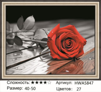 Алмазная мозаика на подрамнике 40*50 HWA 5847