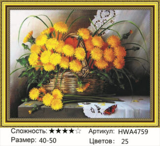 Алмазная мозаика на подрамнике 40*50 HWA 4759